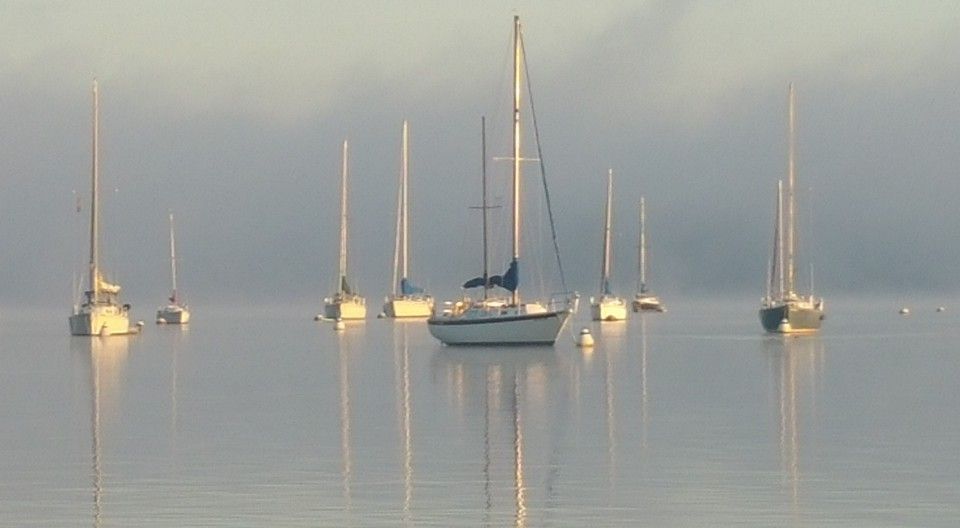 mooring field foggy