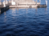 20171130_waterdance