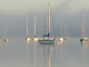 mooring field foggy
